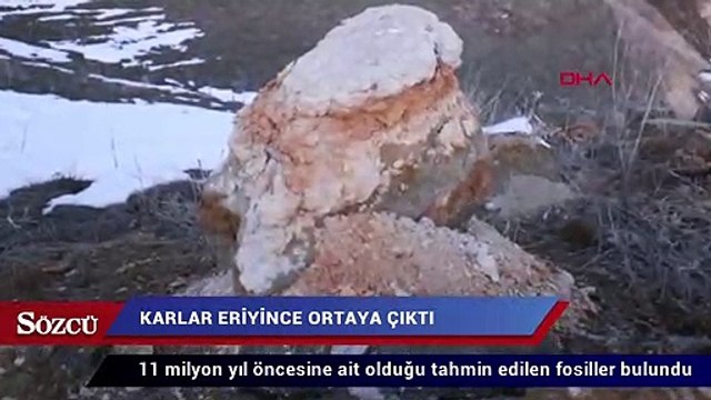 Karlar eriyince ortaya çıktı