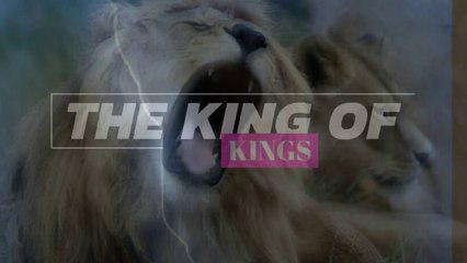 Il re dei re. the king of Kings