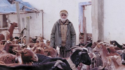 António Zambujo - Catavento Da Sé