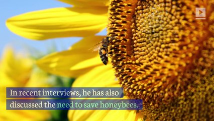 Morgan Freeman Creates Bee Sanctuary Out of His Mississippi Ranch