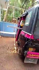 Brilliant intuition! So clever and great to watch!!