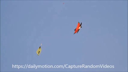 Kite Fighting Moments 2019 | Basant Festival Pakistan |