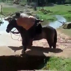 Fat man ridding a horse 2019