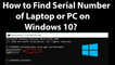 How to Find Serial Number of Laptop or PC on Windows 10?