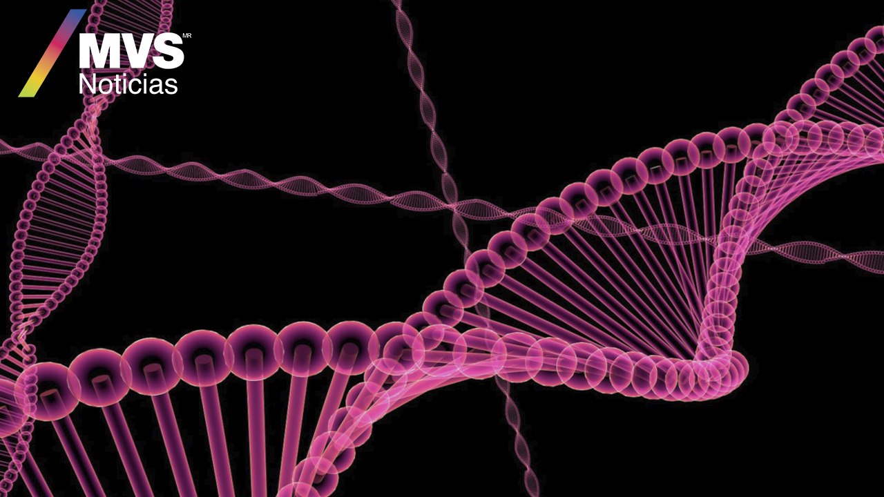 Microsoft da un gran paso en el almacenamiento con ADN