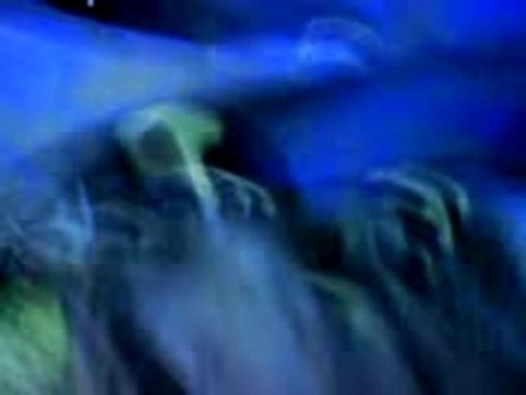 montreuil sous les bois cross