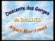 Descente des Gorges de DALLUIS (Alpes-Maritimes)