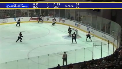ECHL Jacksonville Icemen 1 at Norfolk Admirals 4