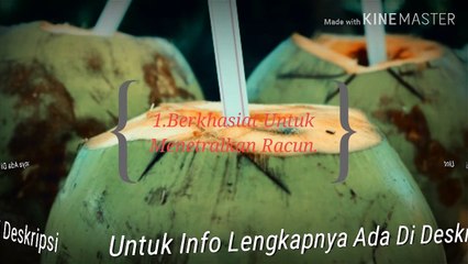 5 khasiat buah kelapa untuk kesehatan