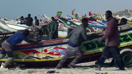 Senegalese fishermen hope for bumper catch in Mauritanian waters