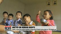 UN Human Rights Council adopts resolution condemning North Korea's human rights for the 17th straight year