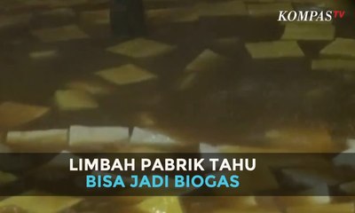 Limbah Pabrik Tahu Bisa Jadi Biogas