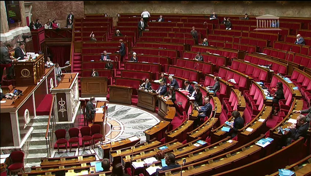 3ème séance : Organisation et transformation du système de santé (suite) - Vendredi 22 mars 2019