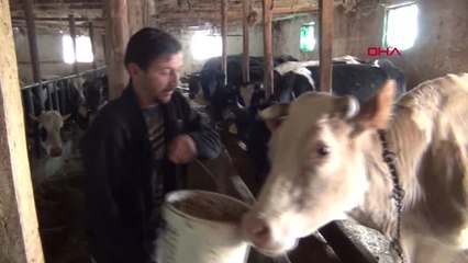 Simavlı Besiciler Dertli Devletimizin Bizim Sorunlarımıza Çözüm Bulmasını Bekliyoruz