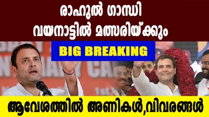 രാഹുല്‍ ഗാന്ധി വയനാട്ടില്‍ മല്‍സരിക്കും? | Oneindia Malayalam