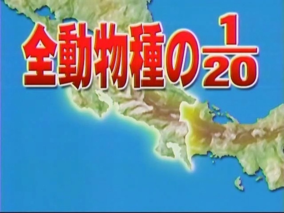 BML