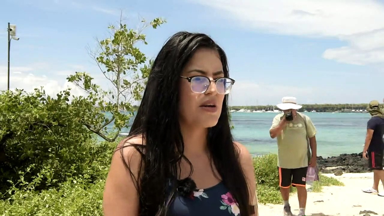 Tonnenweise Plastikmüll bedroht Galápagos-Inseln