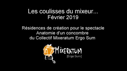 Les coulisses du Mixeur - Février 2019 : création Anatomie d'un concombre