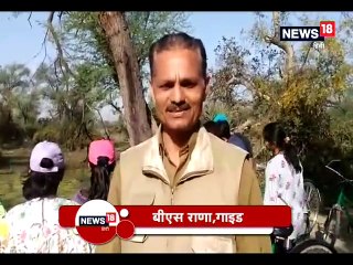 घाना पक्षी विहार में फ्लेमिंग पेलिकन को देखने के लिए उमड़े पर्यटक-Tourist come to see Fleming Pelicans in Ghana Pakshi Vihar