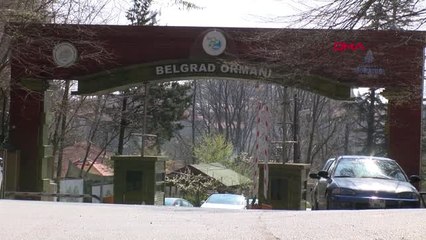 İstanbul-Belgrad Ormanı'nda Ölü Bulundu