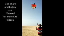 Kite Flying in Fast Air Speed !!!
