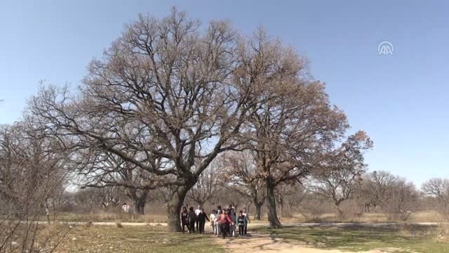 Öğrenciler Çevre Temizliğine Kliple Dikkati Çekti