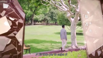 Nice To Meet You Capítulo 3  español