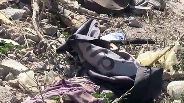 Syrien: Kurdisch-arabische Allianz verkündet Sieg über IS-Miliz