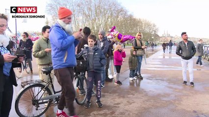 Depuis janvier, plus de 1.000 dauphins échoués sur la côte atlantique