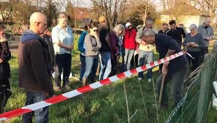 Les bonnes pratiques pour des haies riches de biodiversité