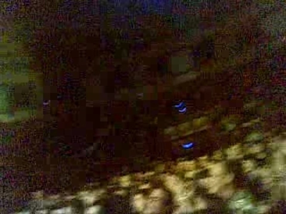 concert fatals picards le 25 novembre 2007 a amiens