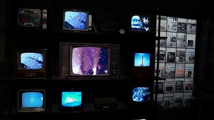 Vor 50 Jahren: Erster Mensch auf dem Mond