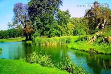 सफलता का रहस्य / Secret of Success in Hindi