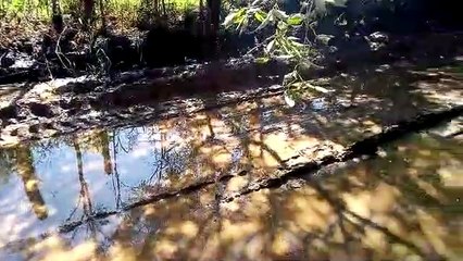 Estrada rural próximo à Santa Tereza do Oeste gera reclamação