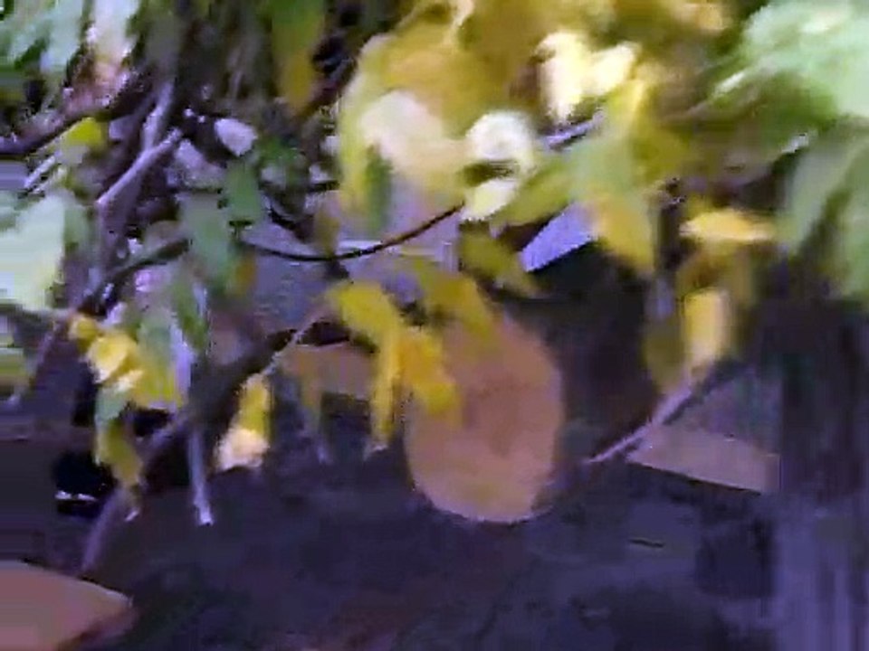 1% of Anything Episode 22