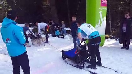 Top départ des chiens de traîneau à La Bresse-Lispach