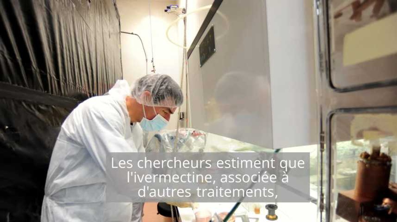Ce médicament miracle pour éradiquer le paludisme