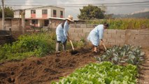 الإكوادور: حدائق المدن في كيتو ضد المجاعة