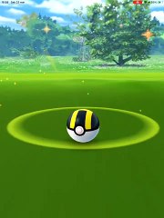 Treecko 100 max CP977 L35 pokemongo