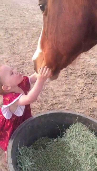 Cette fillette adorable vient faire un bisou de bonne nuit à ses chevaux