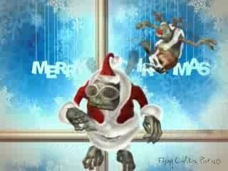 Les mouches de merde! ah! pardon de noel!!