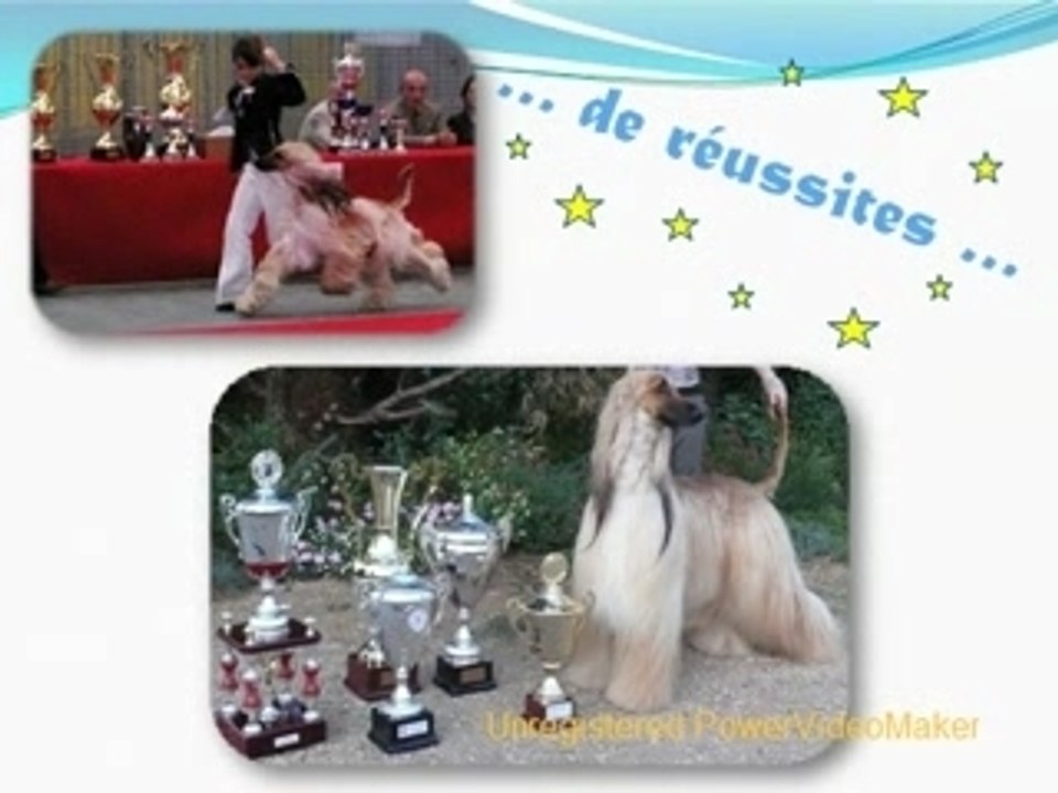 Voeux 2008