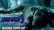 John Wick Chapter 3 Parabellum - “Happy National Puppy Day” - Keanu Reeves