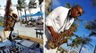 Vue Beach Club Luxury Sunset session with dj sax Jimmy Rougerie