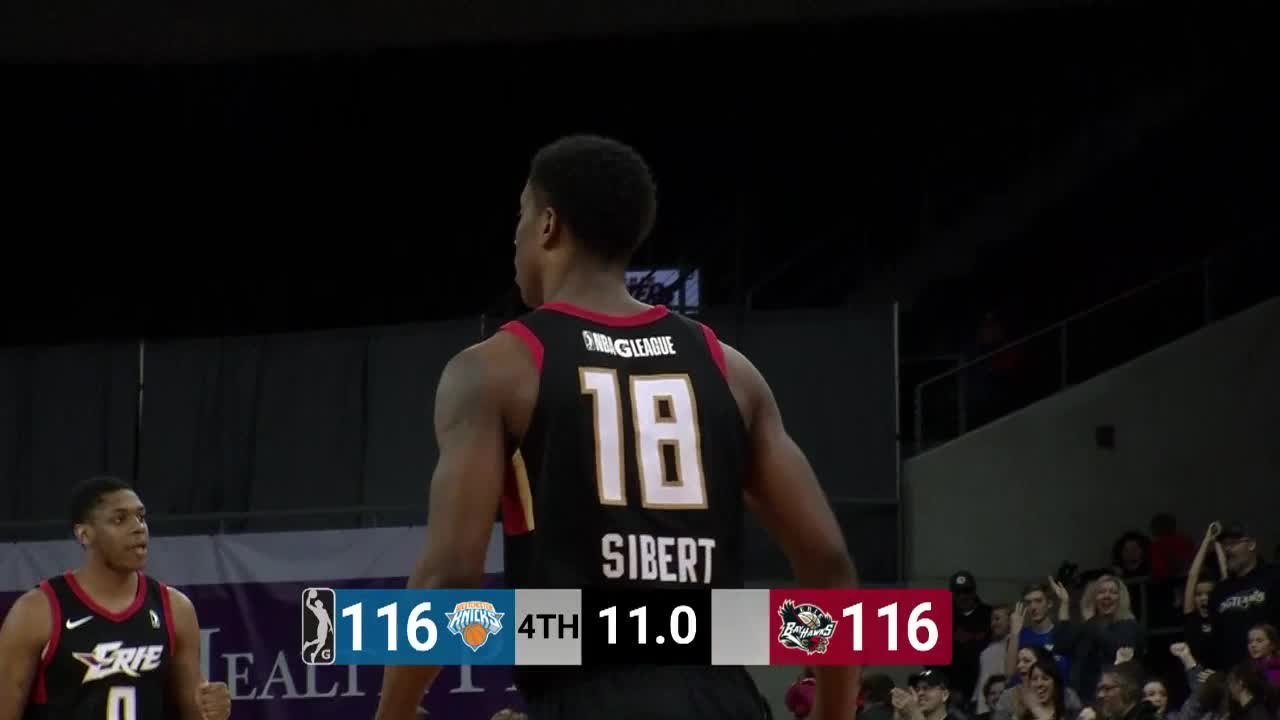 Jeremy Hollowell (18 points) Highlights vs. Westchester Knicks