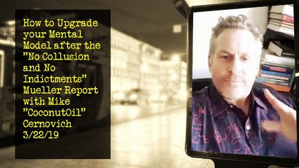 Post Mueller Report No Collusion Recovery Strategy