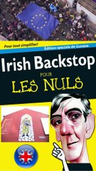 Irish Backstop Pour Les Nuls (parody)