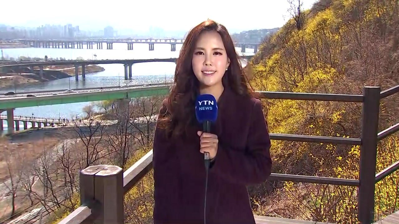 [날씨] 휴일 맑고 공기 깨끗...서울 개나리 개화 / YTN