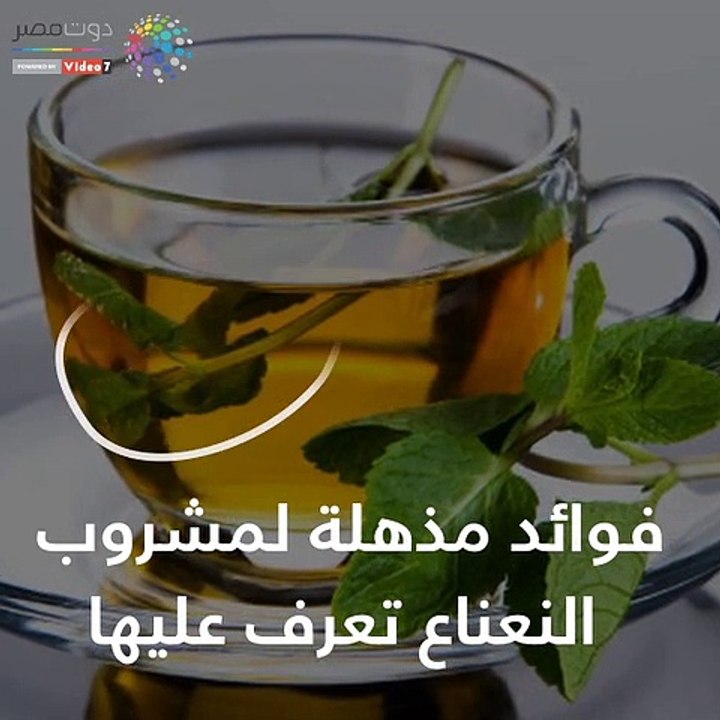 فيديو معلوماتى.. تعرف على فوائد مشروب النعناع