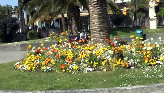 LES PROMENADES DE MICHOU W-D.D. - 23 MARS 2019 - PAU - UNE PETITE PROMENADE MATINALE CE SAMEDI mp4